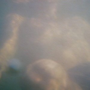 Image for 'Traumprinz'