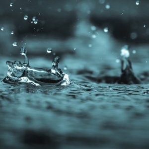 Zdjęcia dla 'Calming Rain'