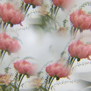 Immagine per 'home movies'