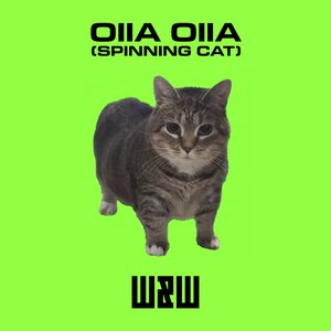 Immagine per 'OIIA OIIA (Spinning Cat)'