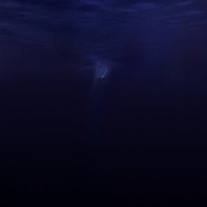 Image for 'Salt & Silence'