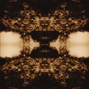 'Black Triage'の画像