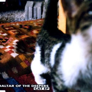 Image for 'Cat EP'