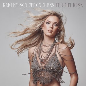 Image for 'Flight Risk'