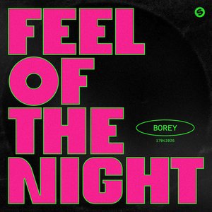Bild för 'Feel Of The Night'