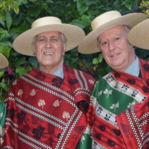 Image for 'Los Huasos Quincheros'