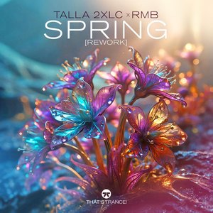 Image for 'Spring (Rework)'