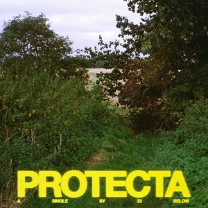 Изображение для 'Protecta'