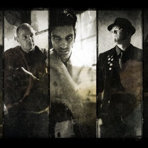 Imagem de 'Golden Apes'