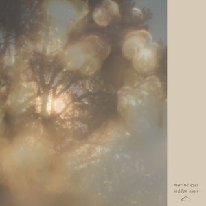 Изображение для 'hidden hour'