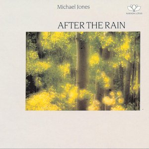 Image for 'After The Rain'