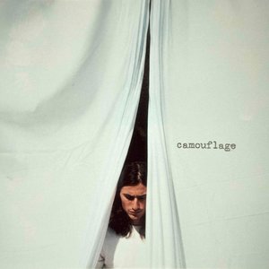 Image for 'camouflage'