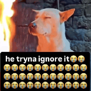 lucbor