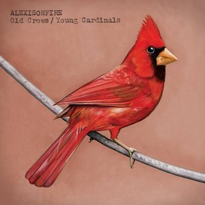 Image for 'Old Crows, Young Cardinals'