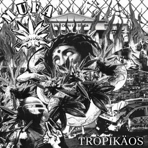 Image for 'Tropikäos'