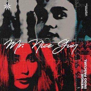 Изображение для 'Mr. Nice Guy'