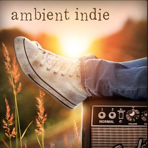 Image for 'Ambient Indie'