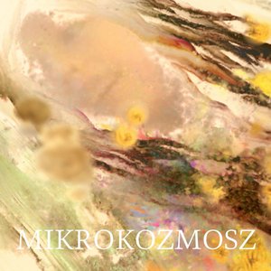 Image for 'Mikrokozmosz'
