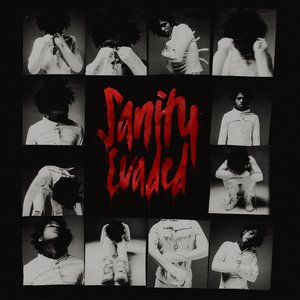 Image for 'Sanity Evaded'