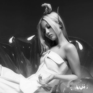 Image for 'daine'