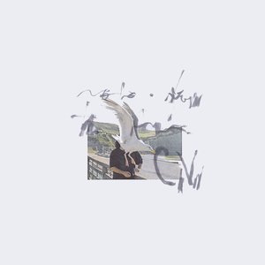 Image for 'notes from the air'
