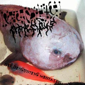 Image for 'psychrolutes marcidus'