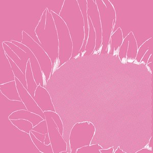 Image for 'Mythomania Magical Girls Soundtrack'