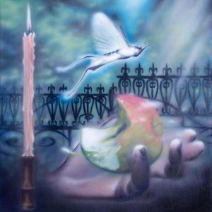 Image for 'Diving For A Prize'