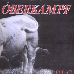 Image for 'P.L.C.'