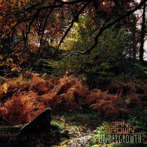 Bild für 'Undergrowth'
