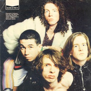 Immagine per 'Sultans Of Ping F.C.'