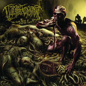 Bild für 'The Slow Decay Of Infested Flesh (LTD Edition)'