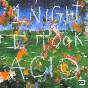 Image for '1 Night I Took Acid'