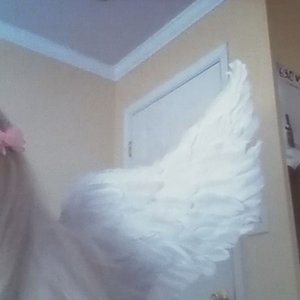 Bild för 'wings for myself'
