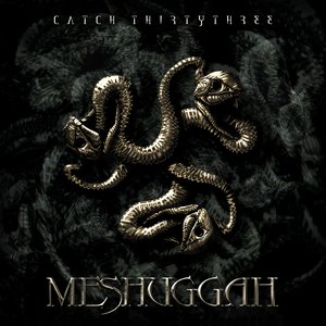 Image for 'Catch Thirty Three'