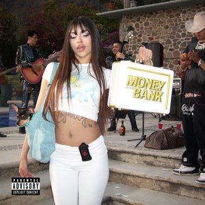 Immagine per 'Money In The Bank'
