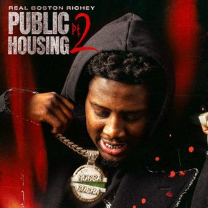 Image for 'Public Housing, Pt. 2'