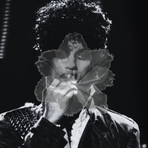 Image for 'Prince'