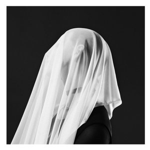 Bild für 'Grey Veils'