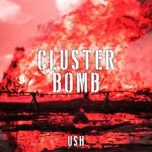 Image for 'Cluster Bomb'