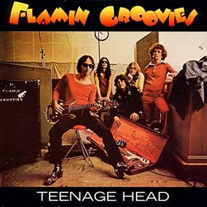 Image for 'Teenage Head'