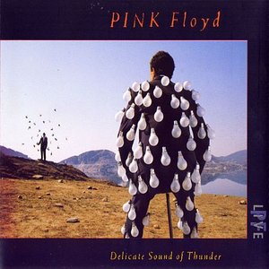 Image for 'Delicate Sound Of Thunder - Disc 1'