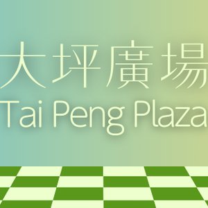 Image for 'Tai Peng Plaza 大坪廣場'