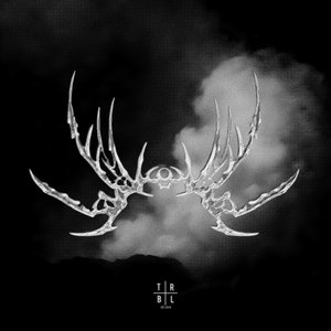 Image for 'THE VOID'
