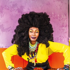 Image for 'Fatoumata Diawara'