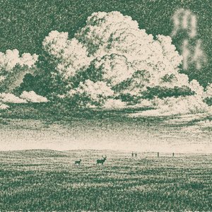 Image for '角林 The Antler Woods'