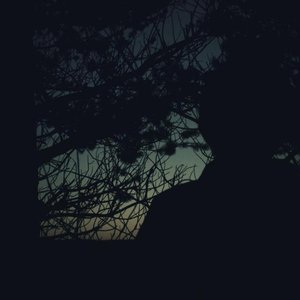 Image for 'Third Person Lurkin'