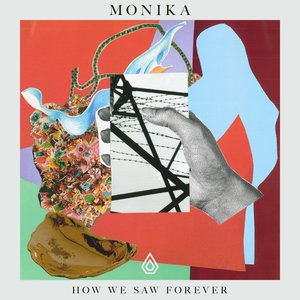 Image for 'How We Saw Forever'