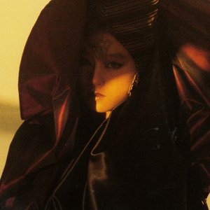 Image for 'Akina Nakamori'