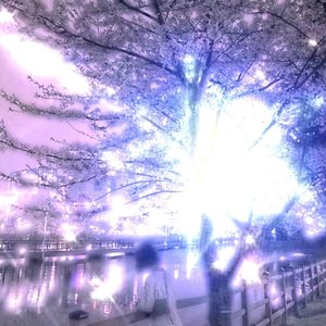 Image for 'evening'